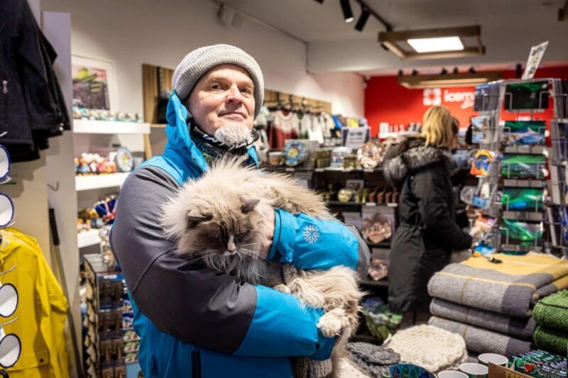 Reykjavik: Feline-Focused City Walking Tour - FAQs