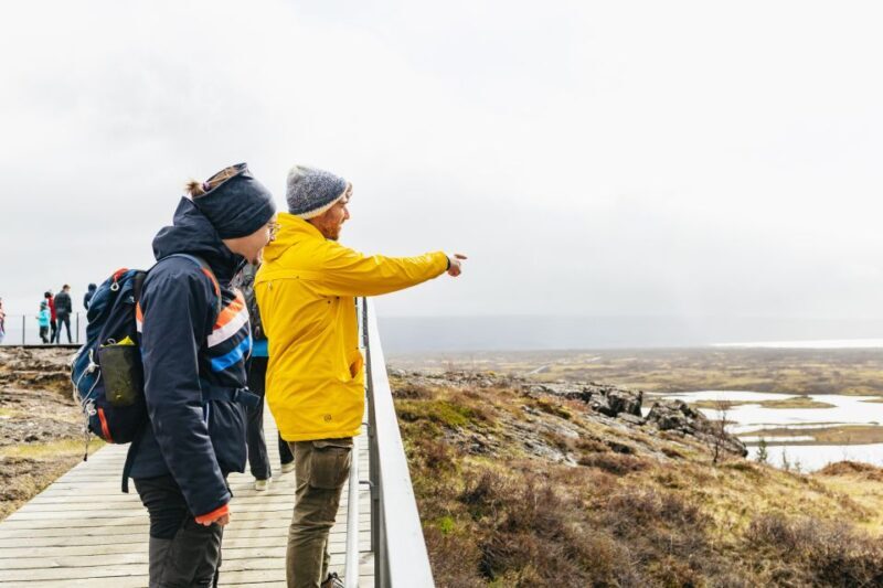 Reykjavik: Golden Circle, Crater & Blue Lagoon Minibus Tour - Who Would Love This Tour?