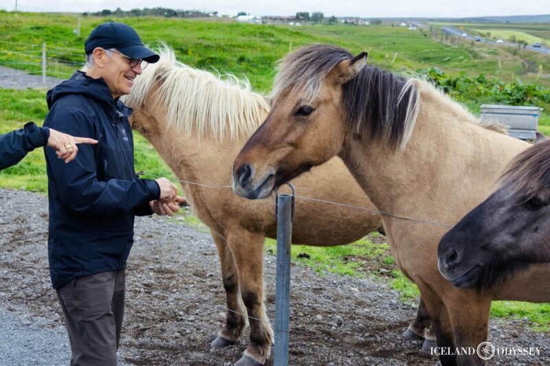 Reykjavik: Golden Circle with Laugarvatn Fontana Admission - Why This Tour Offers Great Value