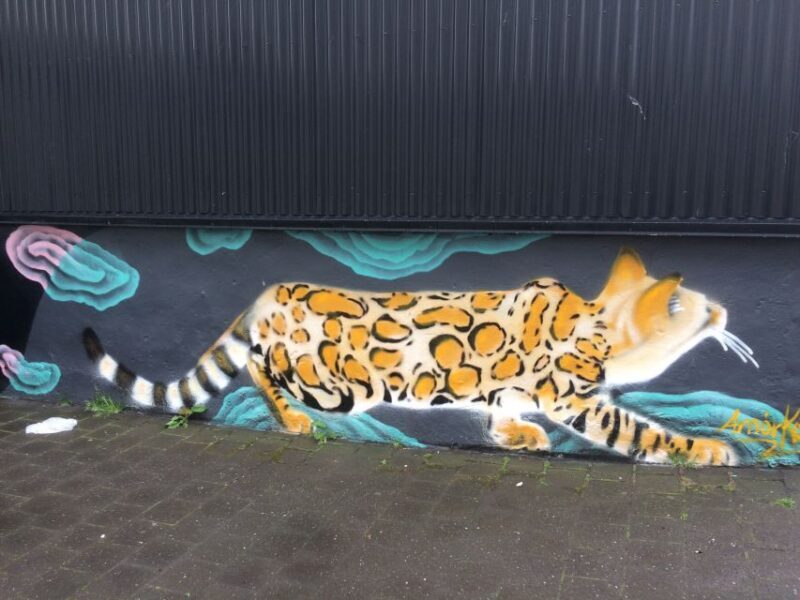 Reykjavik: Guided City Walking Tour - FAQ