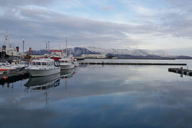 Reykjavik Main Sights and Hidden Spots: A Self-Guided Audio Walk - Practical Details and Tips