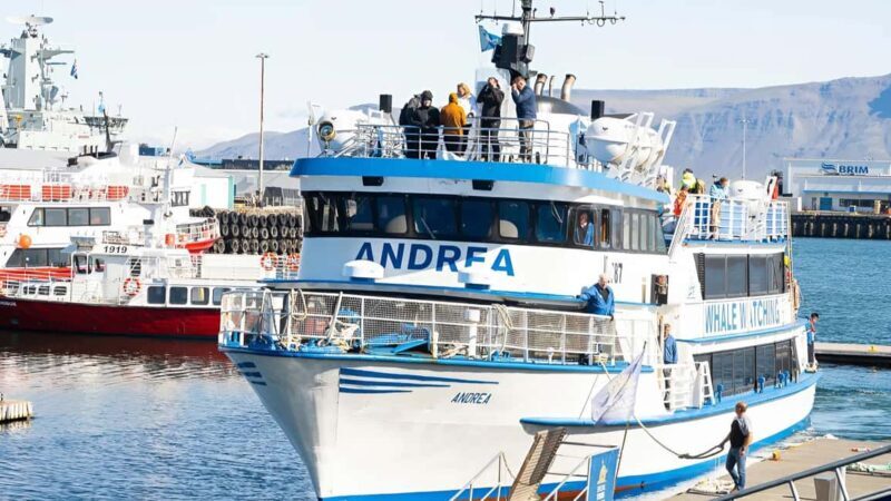 Reykjavik: Maritime History Walking Tour - The Sum Up