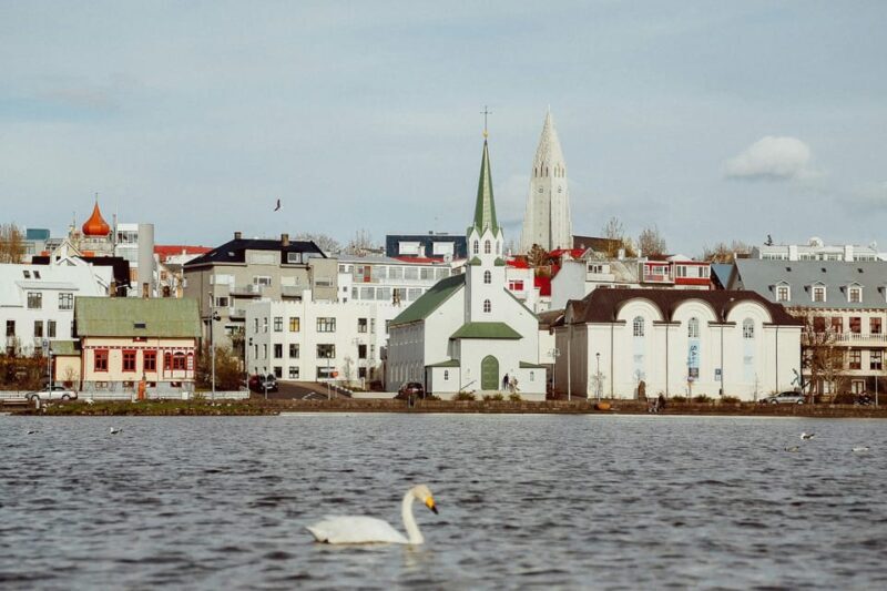 Reykjavik: Meet and Greet with a Local Guide - A Closer Look at the Reykjavik Meet and Greet