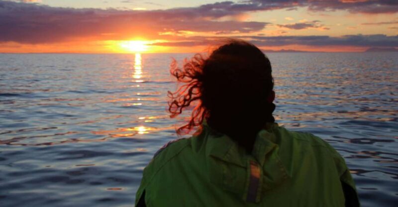 Reykjavík: Midnight Sun Whale Watching Cruise - An In-Depth Look at the Reykjavík Midnight Sun Whale Watching Experience