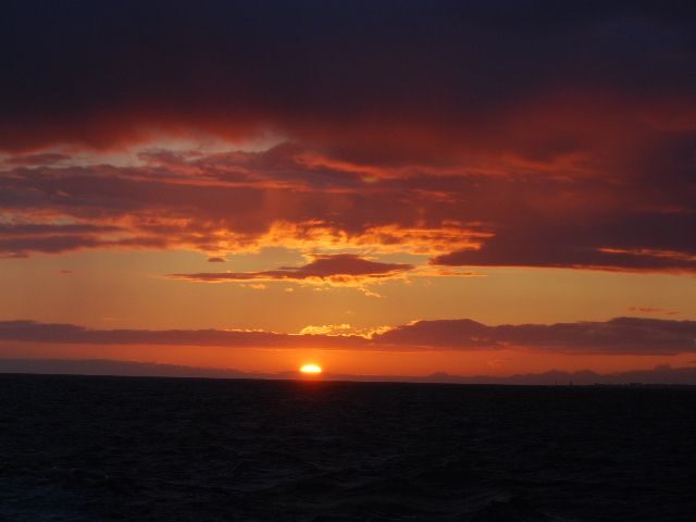 Reykjavik: Midnight Sun Whale Watching Tour - Who Should Consider This Tour?