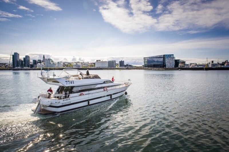 Reykjavík: New Year's Eve Northern Lights Yacht Cruise - Final Thoughts: Is It Worth It?