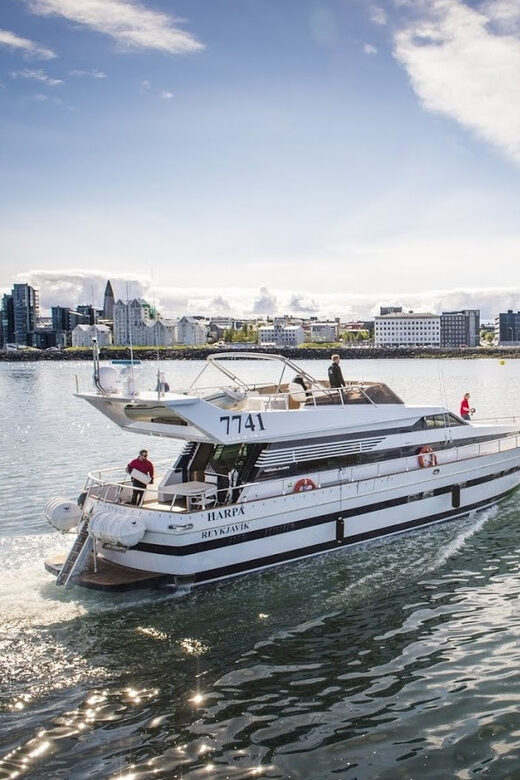 Reykjavík: New Year's Eve Northern Lights Yacht Cruise - FAQs