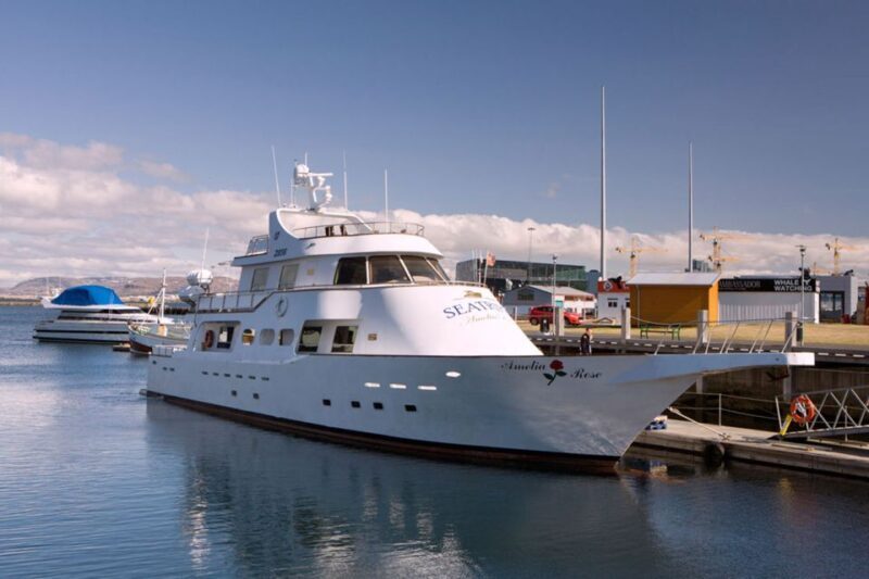 Reykjavik: New Years Fireworks Midnight Cruise - Final Thoughts: Is It Worth It?
