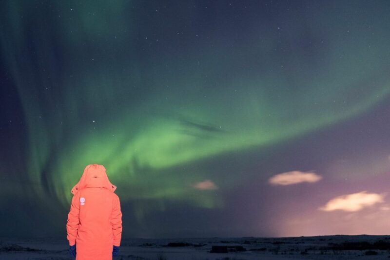 Reykjavik: Northern Lights Group Tour with Photos - The Practicalities: Transportation, Duration, and Group Size