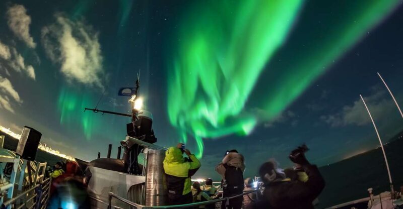 Reykjavik: Northern Lights Guided Boat Tour - Reykjavik: Northern Lights Guided Boat Tour — A Practical Guide to Iceland’s Stellar Night Sky