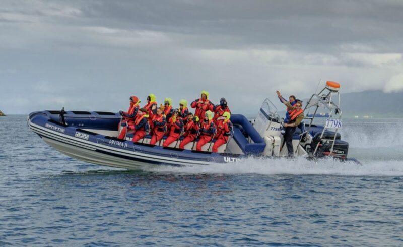 Reykjavik: Premium Whale Watching with Flexible Ticket - Key Points