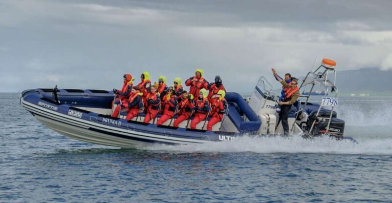 Reykjavik: Premium Whale Watching with Flexible Ticket - The Experience From Reviews: Authentic Perspectives