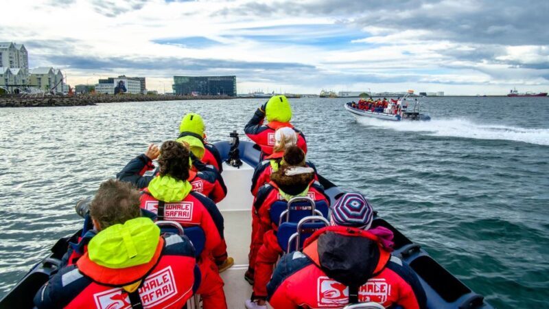 Reykjavik: Premium Whale Watching with Flexible Ticket - FAQs