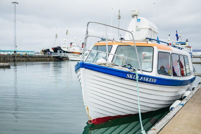 Reykjavik: Puffin Watching Boat Tour - Frequently Asked Questions (FAQs)
