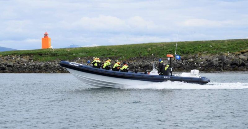 Reykjavik: Puffin Watching Tour by RIB Speedboat - What Makes This Tour Special?