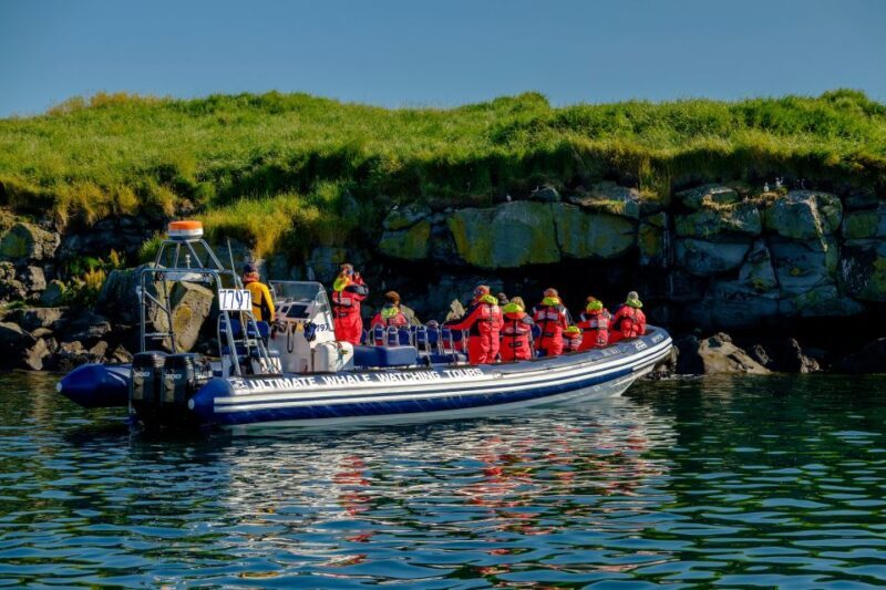 Reykjavik: Puffin Watching Tour - Reykjavik: Puffin Watching Tour — A Close-Up Look at Iceland’s Iconic Birds