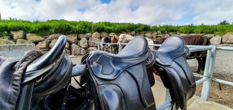 Reykjavik: Red Lava Horse Riding Tour - FAQ
