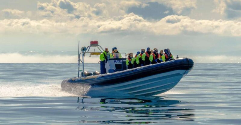 Reykjavík: RIB Speed-Boat Puffin Watching Tour - Who Would Love This?