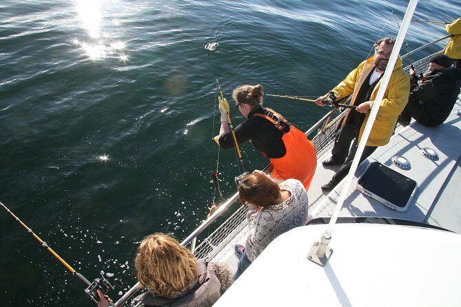 Reykjavik Sea Angling Gourmet - What’s Included and What to Bring