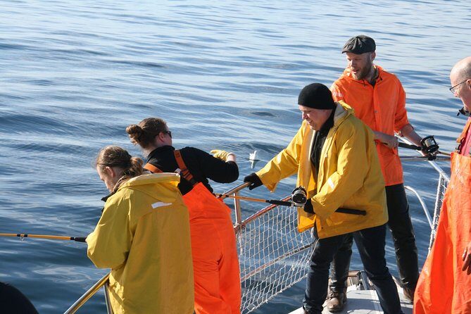 Reykjavik Sea Angling Gourmet - Who Should Consider This Tour?