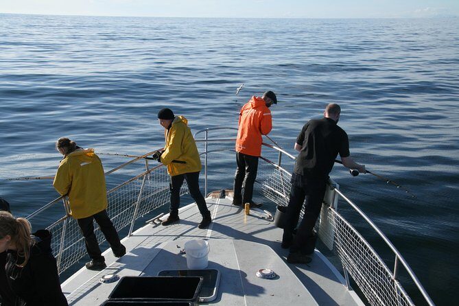 Reykjavik Sea Angling Gourmet - The Sum Up
