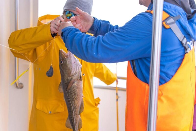 Reykjavik: Sea Fishing Boat Tour & BBQ with the Day's Catch - Authentic Experiences and Real Guests’ Impressions
