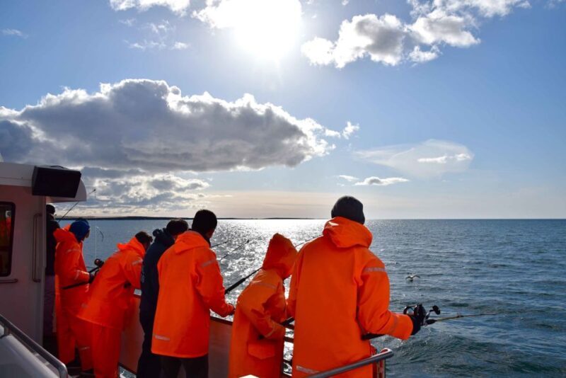 Reykjavik: Sea Fishing Boat Tour & BBQ with the Day's Catch - Final Thoughts: Is This Tour Right for You?