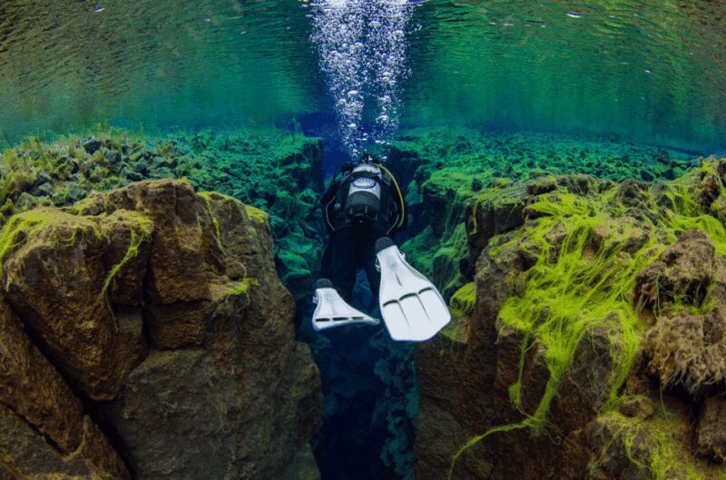 Reykjavík: Silfra Fissure Diving with Optional Pickup - Considerations and Possible Drawbacks