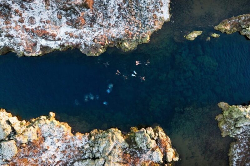Reykjavík: Silfra Fissure Snorkeling between Two Continents - Who Will Love This Tour?
