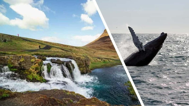 Reykjavik: Snæfellsnes Peninsula & Whale Watching Tour - Key Points