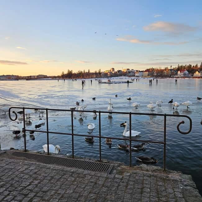 Reykjavik: Street Food Walking Tour - A Closer Look at the Reykjavik Street Food Tour