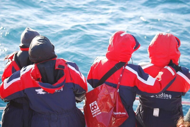 Reykjavik: the Original 3-Hour Whale Watching Tour - What’s Included and What’s Not