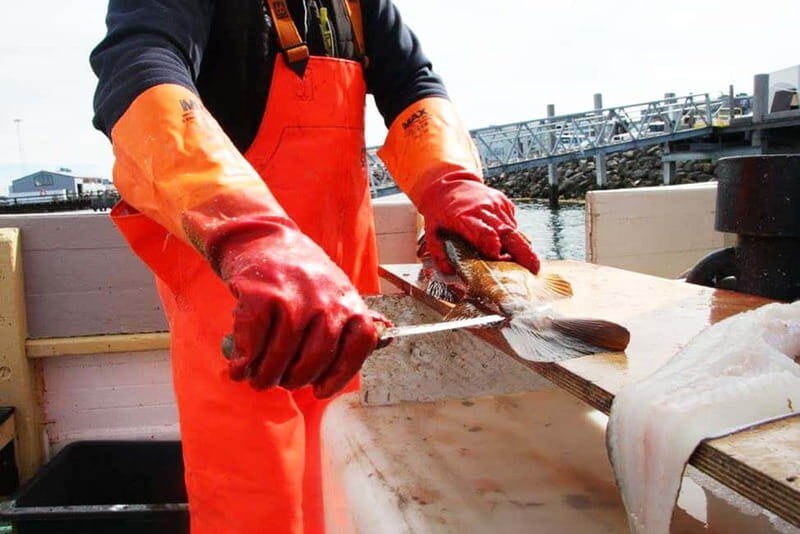 Reykjavik: Traditional Sea Fishing with BBQ Feast - Who Will Love This Tour?
