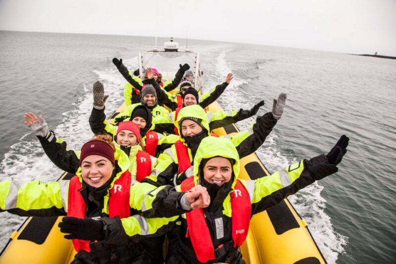 Reykjavik: Whale Watching by RIB Speedboat - Final Thoughts: Is It Worth It?