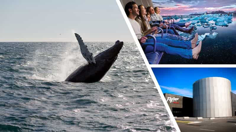 Reykjavík: Whale Watching Cruise and FlyOver Combo Ticket - Reykjavík: Whale Watching Cruise and FlyOver Combo Ticket