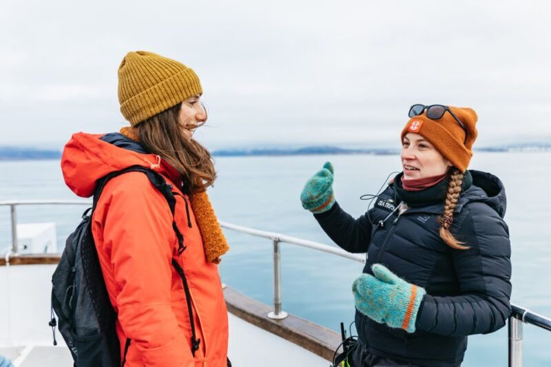 Reykjavík: Whale Watching Cruise on the Amelia Rose Yacht - Real Traveler Perspectives