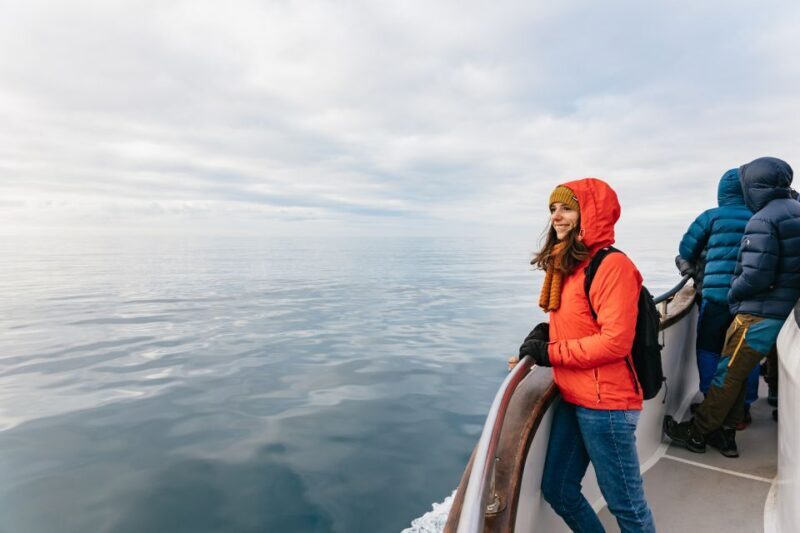 Reykjavík: Whale Watching Cruise on the Amelia Rose Yacht - The Sum Up: Who Will Love This Experience?