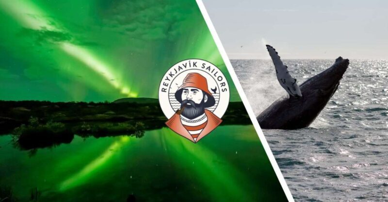 Reykjavik: Whale Watching & Northern Lights Combo Cruise - An In-Depth Look at the Reykjavik Whale & Lights Tour