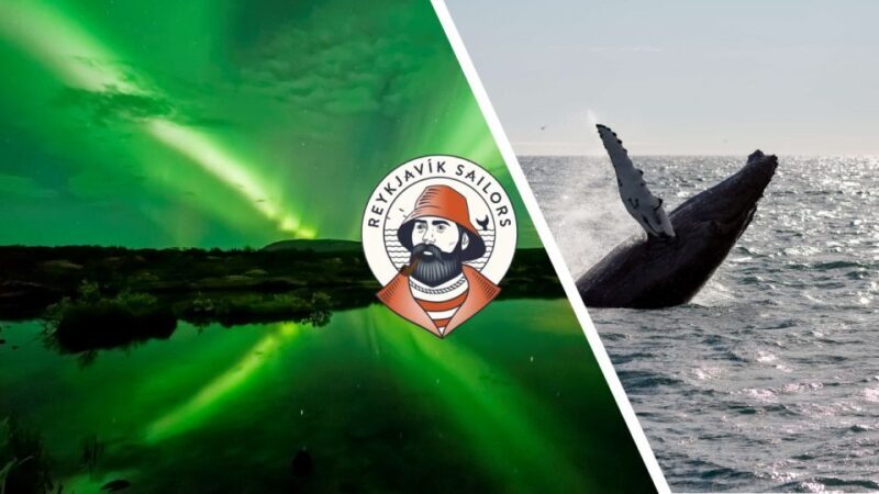 Reykjavik: Whale Watching & Northern Lights Combo Cruise - Who Should Consider This Tour?