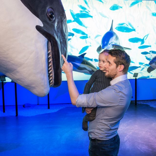 Reykjavik: Whale Watching Tour, Whales of Iceland Exhibition - A Detailed Look at the Experience