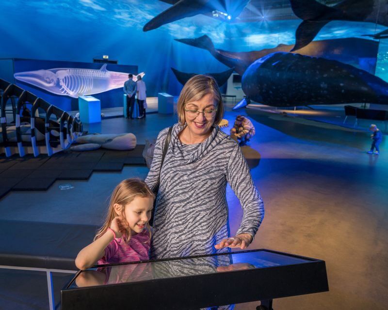 Reykjavik: Whales of Iceland Museum Entrance Ticket - Practical Details and Tips for Visitors