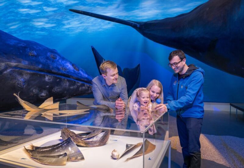 Reykjavik: Whales of Iceland Museum Entrance Ticket - The Sum Up: Who Should Visit?