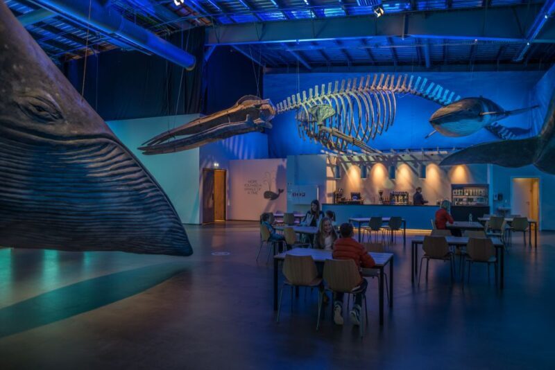 Reykjavik: Whales of Iceland Museum Entrance Ticket - FAQs