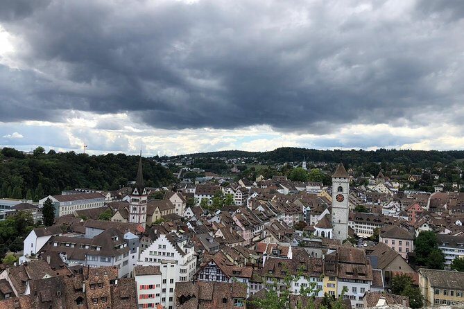 Rhine Falls and Stein am Rhein (Private Tour) - Key Points