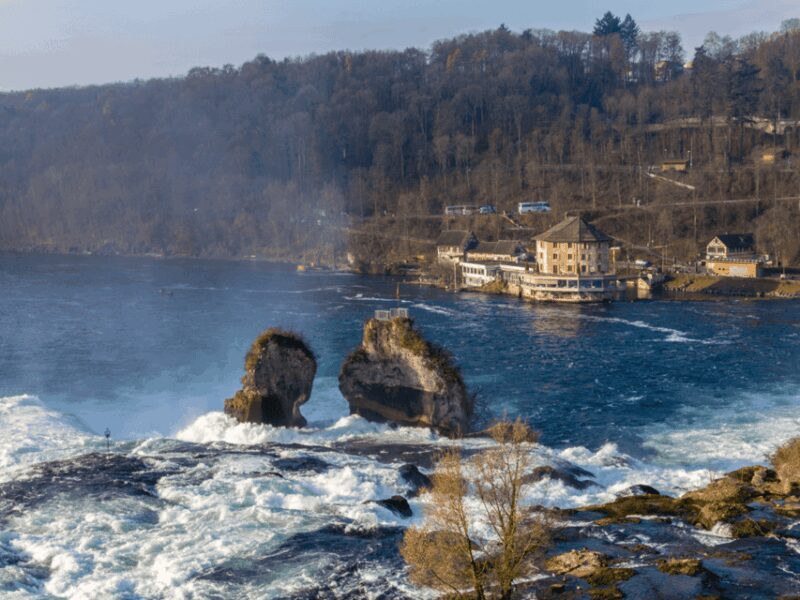 Rhine Falls & Stein am Rhein Private Day Trip - Key Points