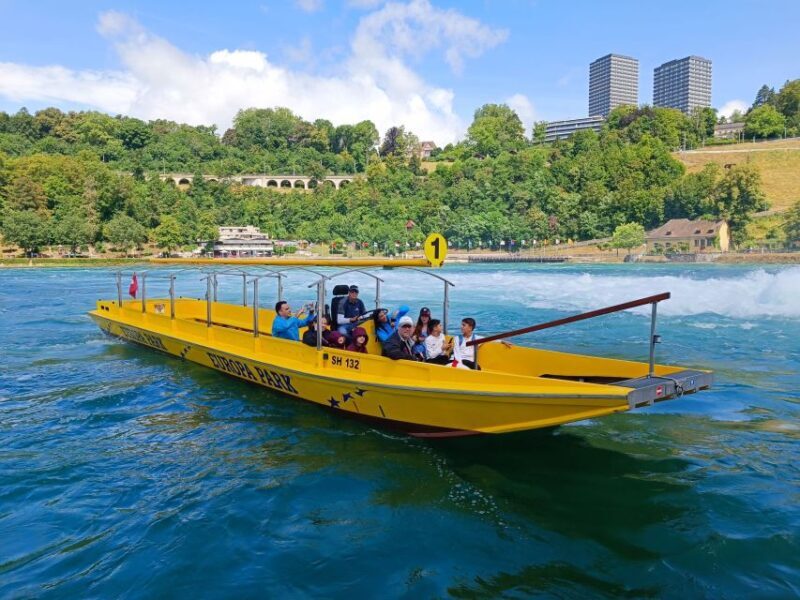 Rhine Falls & Stein am Rhein: Private Tour with a Local - Overview of the Experience