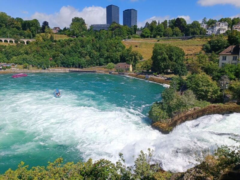 Rhine Falls & Stein am Rhein: Private Tour with a Local - Who This Tour Is Best For
