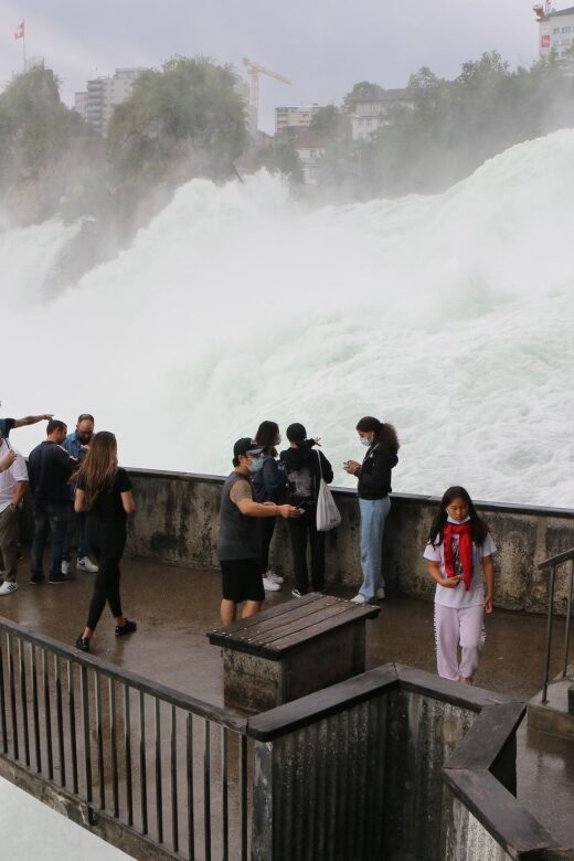 Rhine Falls & Stein am Rhein: Private Tour with a Local - The Sum Up