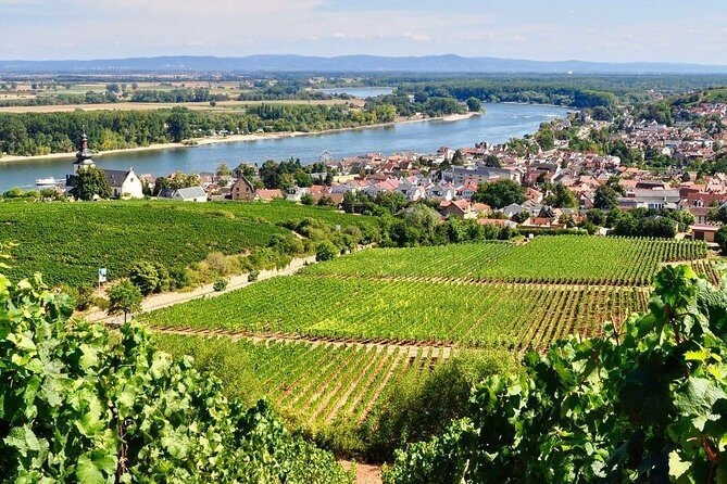 Rhine Valley Wine Tasting Tour from Frankfurt and Mainz - FAQ