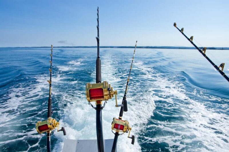 Rhodes: 4 Hour Private Boat Fishing Trip with Equipment - A Full Breakdown of the Experience
